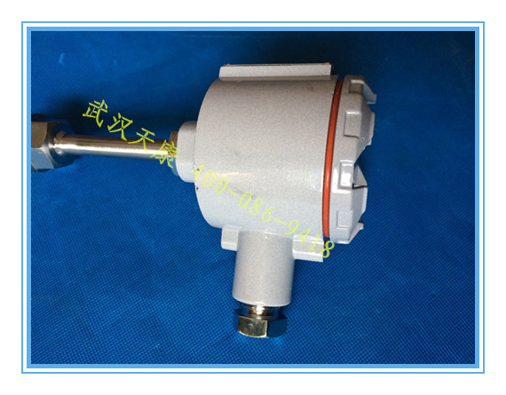 �����ȵ�ż