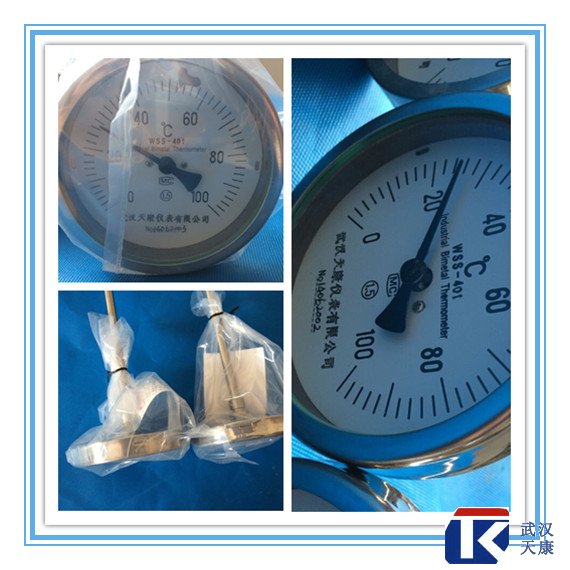 ˫�����¶ȼ� WSS-301/401/501