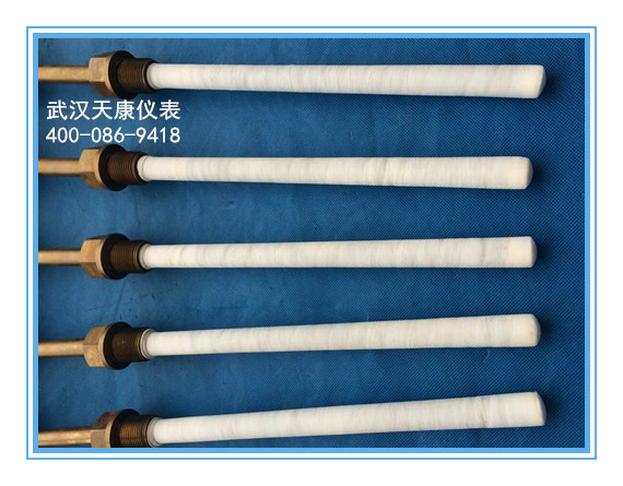 防腐热电阻
