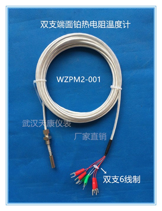热电阻、pt100热电阻、耐磨热电阻、铠装热电阻