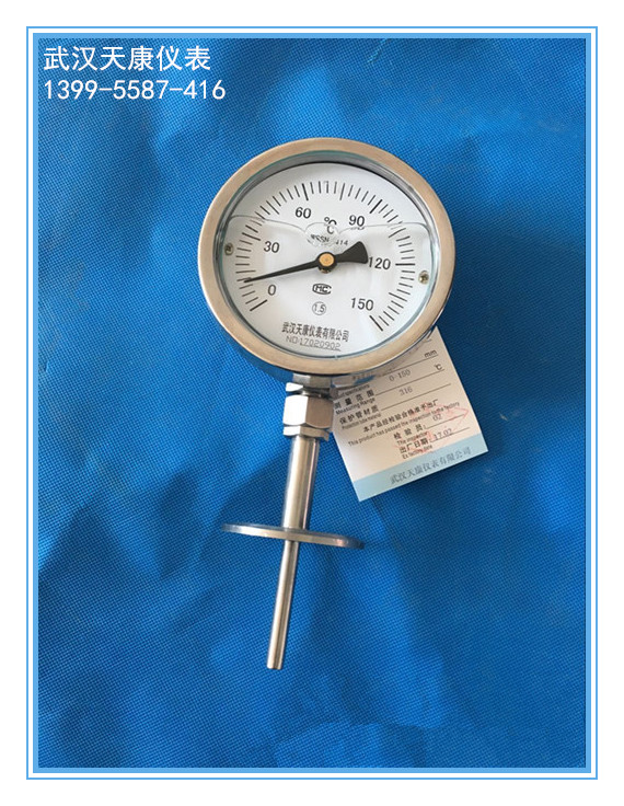 ����������˫�����¶ȼ�WSSN-414