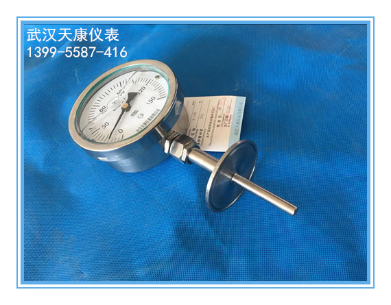 ����������˫�����¶ȼ�WSSN-414