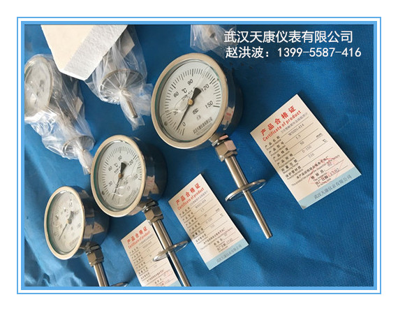 ����������˫�����¶ȼ�WSSN-414