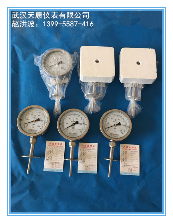 ����������˫�����¶ȼ�WSSN-414