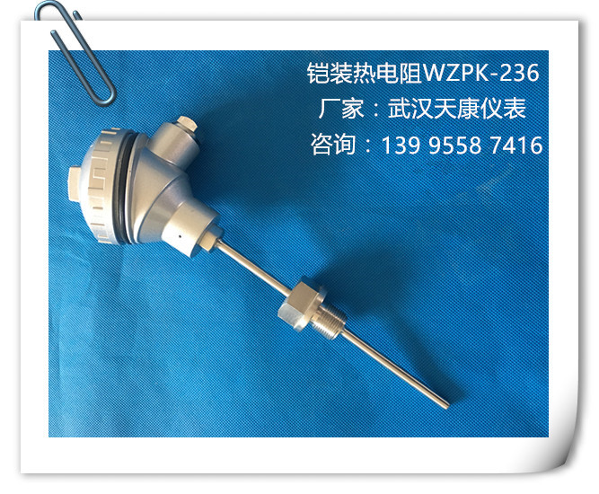 pt100��װ�ȵ���